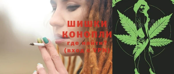 тгк Лиски